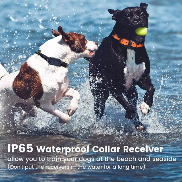 Norvo | Collier de dressage électrique pour chien E-collier – Sûr, efficace, télécommande