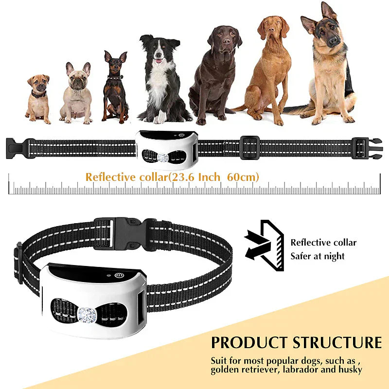 Clôture Sans Fil & Collier de Dressage 2-en-1 - Étanche & Rechargeable