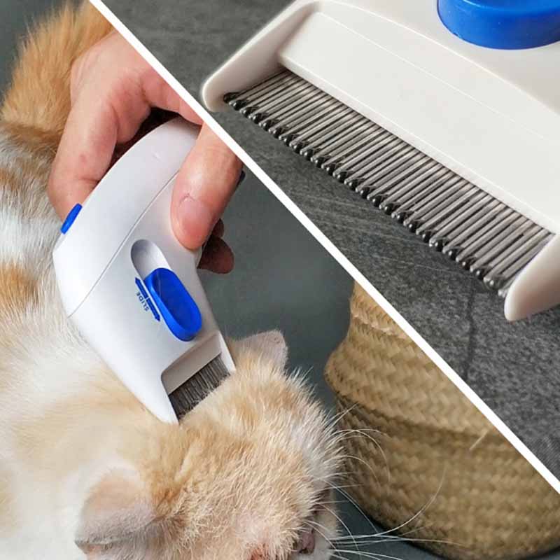Éliminateur de puces électrique pour animaux de compagnie – FleaZap